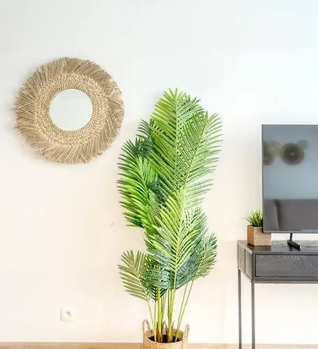 5-guest In Ostend, Steps From The Apartment